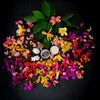 Thumbnail of product image 2
