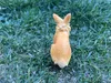 商品画像 5 のサムネイル
