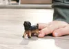 商品画像 6 のサムネイル