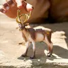商品画像 2 のサムネイル