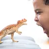 商品画像 2 のサムネイル