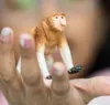 商品画像 2 のサムネイル