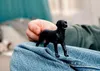 商品画像 6 のサムネイル
