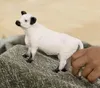 商品画像 2 のサムネイル