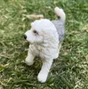 商品画像 3 のサムネイル