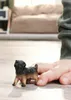 商品画像 7 のサムネイル