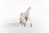 商品画像 5 のサムネイル