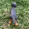 商品画像 4 のサムネイル