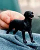 商品画像 5 のサムネイル