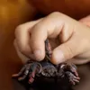 商品画像 2 のサムネイル