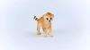 商品画像 4 のサムネイル