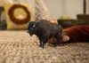 商品画像 7 のサムネイル