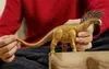 商品画像 2 のサムネイル