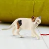 商品画像 2 のサムネイル