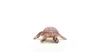 商品画像 4 のサムネイル
