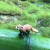 商品画像 3 のサムネイル