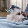 商品画像 2 のサムネイル