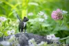 商品画像 3 のサムネイル