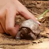 商品画像 2 のサムネイル