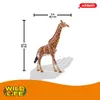 商品画像 2 のサムネイル