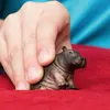 商品画像 2 のサムネイル