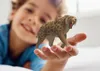 商品画像 6 のサムネイル