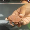 商品画像 2 のサムネイル