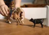 商品画像 6 のサムネイル