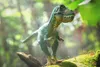 商品画像 6 のサムネイル