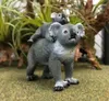 商品画像 6 のサムネイル