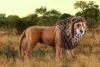 商品画像 2 のサムネイル
