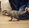 商品画像 2 のサムネイル