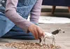商品画像 8 のサムネイル