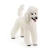 商品画像 1 のサムネイル