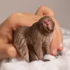 商品画像 2 のサムネイル