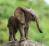 商品画像 2 のサムネイル