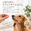 商品画像 4 のサムネイル