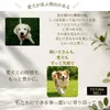 商品画像 10 のサムネイル