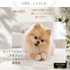 商品画像 3 のサムネイル