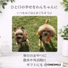 商品圖片 3 縮圖