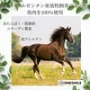 商品圖片 10 縮圖