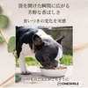 商品圖片 4 縮圖
