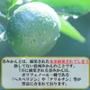 Thumbnail of product image 2