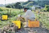 商品画像 6 のサムネイル
