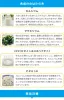 商品画像 7 のサムネイル