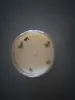Thumbnail of product image 4
