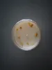 Thumbnail of product image 4
