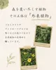 商品画像 5 のサムネイル