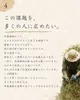 商品画像 6 のサムネイル