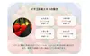 商品画像 8 のサムネイル